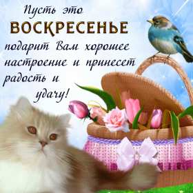 Открытки воскресенье Открытка с воскресеньем, воскресенье, хорошего воскресенья Открытка картинка пожелания в воскресенье, с воскресеньем, доброго, хорошего воскресенья, красивые открытки картинки с воскресеньем, открытка с воскресеньем скачать бесплатно