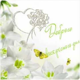 Открытки воскресенье Открытка гиф с воскресеньем, воскресенье, хорошего воскресенья Открытка картинка пожелания в воскресенье, с воскресеньем, доброго, хорошего воскресенья, красивые открытки картинки с воскресеньем, открытка с воскресеньем скачать бесплатно