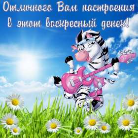 Открытки воскресенье Открытка с воскресеньем, воскресенье, хорошего воскресенья, зебра Открытка картинка пожелания в воскресенье, с воскресеньем, доброго, хорошего воскресенья, красивые открытки картинки с воскресеньем, открытка с воскресеньем скачать бесплатно