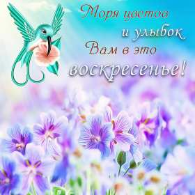 Открытки воскресенье Открытка с воскресеньем, воскресенье, хорошего воскресенья Открытка картинка пожелания в воскресенье, с воскресеньем, доброго, хорошего воскресенья, красивые открытки картинки с воскресеньем, открытка с воскресеньем скачать бесплатно
