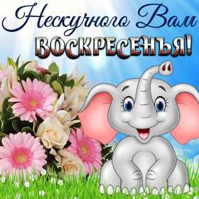 Открытки воскресенье Открытка с воскресеньем, воскресенье, хорошего воскресенья, слоник Открытка картинка пожелания в воскресенье, с воскресеньем, доброго, хорошего воскресенья, красивые открытки картинки с воскресеньем, открытка с воскресеньем скачать бесплатно