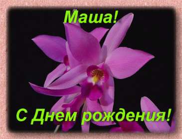 Мария с днём рождения Открытка с днём рождения Мария, поздравления для Маши на день рождения Открытка картинка Мария, Маша с днём рождения, открытки картинки с днём рождения Маша, Мария, поздравления для Маши на день рождения открытки скачать бесплатно .