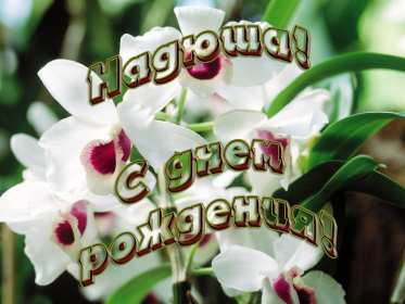 Надежда с днём рождения! Открытка с днём рождения Надя, Надежда, поздравления для Нади Открытки картинки Надежда с днём рождения, Надя с днём рождения, открытка картинка для Надежды в день рождения, красивая открытка Надя с днём рождения скачать бесплатно