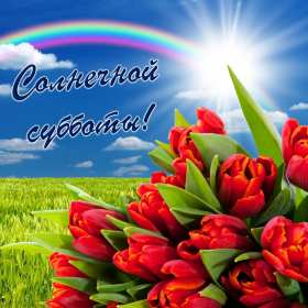 Открытки суббота Открытка с субботой, суббота, пожелания в субботу, хорошей субботы Открытка картинка суббота, пожелания в субботу, хорошей субботы, открытки картинки с субботой, добрые пожелания в субботу открытки красивые суббота скачать бесплатно