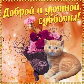Открытки суббота Открытка с субботой, суббота, пожелания в субботу, хорошей субботы Открытка картинка суббота, пожелания в субботу, хорошей субботы, открытки картинки с субботой, добрые пожелания в субботу открытки красивые суббота скачать бесплатно