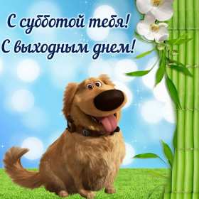 Открытки суббота Открытка с субботой, суббота, пожелания в субботу, хорошей субботы Открытка картинка суббота, пожелания в субботу, хорошей субботы, открытки картинки с субботой, добрые пожелания в субботу открытки красивые суббота скачать бесплатно