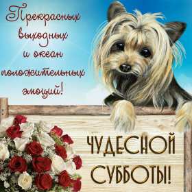 Открытки суббота Открытка с субботой, суббота, пожелания в субботу, хорошей субботы Открытка картинка суббота, пожелания в субботу, хорошей субботы, открытки картинки с субботой, добрые пожелания в субботу открытки красивые суббота скачать бесплатно