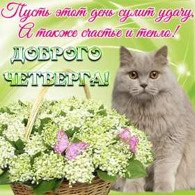 Открытка! Открытка четверг, хорошие пожелания в четверг, удачного четверга