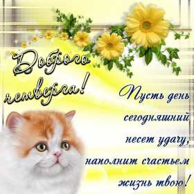 Открытка! Открытка четверг, хорошие пожелания в четверг, удачного четверга