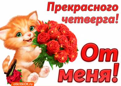 Открытка! Открытка четверг, хорошие пожелания в четверг, удачного четверга