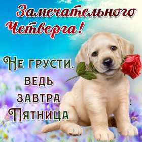 Открытка! Открытка четверг, хорошие пожелания в четверг, удачного четверга