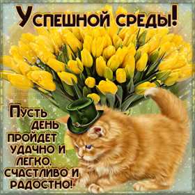 Открытка! Открытки среда, хорошей, удачной среды, пожелания в среду, для среды
