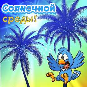 Открытка! Открытки среда, хорошей, удачной среды, пожелания в среду, для среды