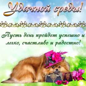 Открытка! Открытки среда, хорошей, удачной среды, пожелания в среду, для среды