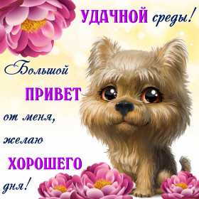 Открытки среда Открытки среда, хорошей, удачной среды, пожелания в среду, для среды Открытка картинка среда, хорошей среды, удачной среды, открытки картинки со средой, среда, пожелания в среду, открытка среда пожелания удачной, хорошей среды скачать бесплатно