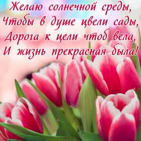 Открытки среда Открытки среда, хорошей, удачной среды, пожелания в среду, для среды Открытка картинка среда, хорошей среды, удачной среды, открытки картинки со средой, среда, пожелания в среду, открытка среда пожелания удачной, хорошей среды скачать бесплатно