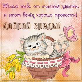 Открытки среда Открытки среда, хорошей, удачной среды, пожелания в среду, для среды Открытка картинка среда, хорошей среды, удачной среды, открытки картинки со средой, среда, пожелания в среду, открытка среда пожелания удачной, хорошей среды скачать бесплатно