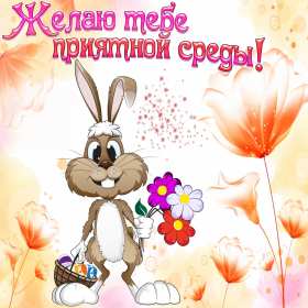 Открытки среда Открытки среда, хорошей, удачной среды, пожелания в среду, для среды Открытка картинка среда, хорошей среды, удачной среды, открытки картинки со средой, среда, пожелания в среду, открытка среда пожелания удачной, хорошей среды скачать бесплатно