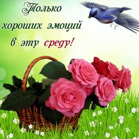 Открытки среда Открытки среда, хорошей, удачной среды, пожелания в среду, для среды Открытка картинка среда, хорошей среды, удачной среды, открытки картинки со средой, среда, пожелания в среду, открытка среда пожелания удачной, хорошей среды скачать бесплатно