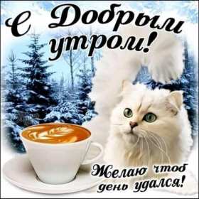 Открытки доброе зимнее утро Открытка доброго зимнего утра, пожелания зимнего доброго утра Картинка открытка с пожеланиями доброго зимнего утра, зимнее снежное доброе утро, красивая зимняя открытка доброе зимнее утро, зима утро, зимнее утро доброе скачать бесплатно