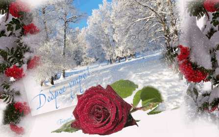 Открытки доброе зимнее утро Открытка доброго зимнего утра, пожелания зимнего доброго утра Картинка открытка с пожеланиями доброго зимнего утра, зимнее снежное доброе утро, красивая зимняя открытка доброе зимнее утро, зима утро, зимнее утро доброе скачать бесплатно