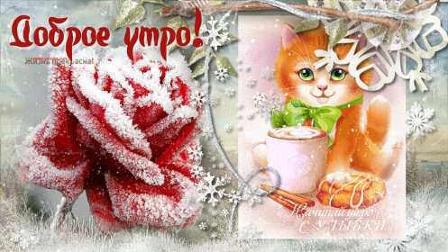 Открытки доброе зимнее утро Открытка доброго зимнего утра, пожелания зимнего доброго утра Картинка открытка с пожеланиями доброго зимнего утра, зимнее снежное доброе утро, красивая зимняя открытка доброе зимнее утро, зима утро, зимнее утро доброе скачать бесплатно