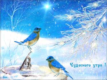 Открытки доброе зимнее утро Открытка доброго зимнего утра, пожелания зимнего доброго утра Картинка открытка с пожеланиями доброго зимнего утра, зимнее снежное доброе утро, красивая зимняя открытка доброе зимнее утро, зима утро, зимнее утро доброе скачать бесплатно