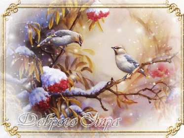 Открытки доброе зимнее утро Открытка доброго зимнего утра, пожелания с добрым утром зимним Открытка зимнее утро, картинка доброе зимнее утро, открытка картинка доброго зимнего утра, с добрым зимним утром, открытки картинки с добрым зимним утром скачать бесплатно