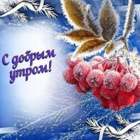 Открытки доброе зимнее утро Открытка доброго зимнего утра, пожелания с добрым утром зимним Открытка зимнее утро, картинка доброе зимнее утро, открытка картинка доброго зимнего утра, с добрым зимним утром, открытки картинки с добрым зимним утром скачать бесплатно