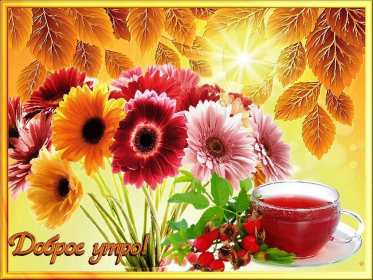 Открытки с добрым осенним утром Открытка доброе осеннее утро, пожелания доброго осеннего утра Открытка доброе утро осени, картинка доброе осеннее утро, открытка картинка с добрым осенним утром, открытки картинки доброе утро осени, пожелания доброго осеннего утра