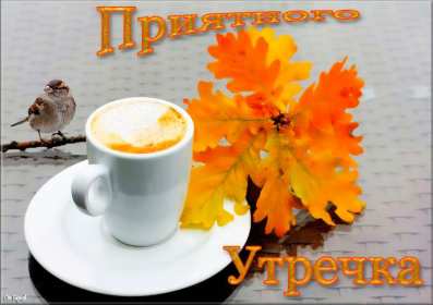 Открытки с добрым осенним утром Открытка доброе осеннее утро, пожелания доброго осеннего утра Открытка доброе утро осени, картинка доброе осеннее утро, открытка картинка с добрым осенним утром, открытки картинки доброе утро осени, пожелания доброго осеннего утра