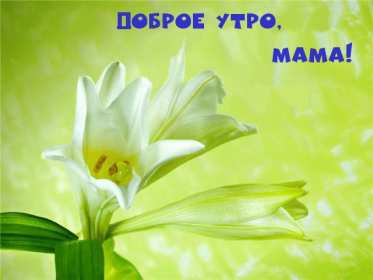 Открытки доброе утро мама Открытка доброе утро мама, маме, пожелания доброго утра маме Открытка с добрым утром мама, доброго утра мама, картинка с добрым утром мама, пожелания доброго утра маме, открытка картинка доброе утро мама скачать бесплатно