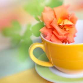 Открытки красивые без надписей доброе утро Открытка красивая с добрым утром без надписей, доброе утро без текста Открытка картинка без текста доброе утро, яркие картинки открытки доброе утро, с добрым утром, красивая красочная открытка картинка доброе утро с добрым утром .