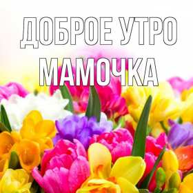 Открытки доброе утро мама Открытка красивая с добрым утром мама, мамочка, пожелать доброго утра маме Открытка с пожеланиями доброго утра маме, картинка доброе утро мама, мамочка, картинка открытка доброе утро мама, открытка для мамы с добрым утром скачать бесплатно
