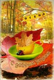 Открытки с добрым осенним утром Открытка осеннее утро доброе осеннее утро, пожелания доброго утра осени Открытка красивая осеннее утро, доброе осеннее утро картинка осеннее утро, открытки картинки доброе осеннее утро, пожелания доброго осеннего утра скачать бесплатно