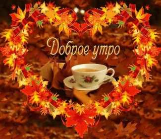 Открытки с добрым осенним утром Открытка осеннее утро доброе осеннее утро, пожелания доброго утра осени Открытка красивая осеннее утро, доброе осеннее утро картинка осеннее утро, открытки картинки доброе осеннее утро, пожелания доброго осеннего утра скачать бесплатно
