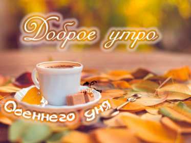 Открытки с добрым осенним утром Открытка осеннее утро доброе осеннее утро, пожелания доброго утра осени Открытка красивая осеннее утро, доброе осеннее утро картинка осеннее утро, открытки картинки доброе осеннее утро, пожелания доброго осеннего утра скачать бесплатно