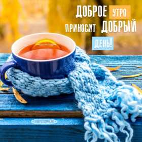 Открытки с добрым осенним утром Открытка осеннее утро доброе осеннее утро, пожелания доброго утра осени Открытка красивая осеннее утро, доброе осеннее утро картинка осеннее утро, открытки картинки доброе осеннее утро, пожелания доброго осеннего утра скачать бесплатно