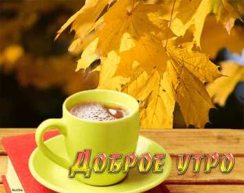 Открытки с добрым осенним утром Открытка осеннее утро доброе осеннее утро, пожелания доброго утра осени Открытка красивая осеннее утро, доброе осеннее утро картинка осеннее утро, открытки картинки доброе осеннее утро, пожелания доброго осеннего утра скачать бесплатно