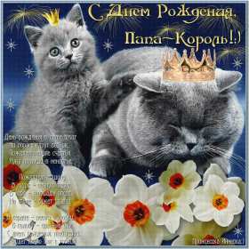 с днём рождения папа Открытка с днём рождения папа, папе, поздравления для папы . Картинка открытка на день рождения папе, картинки открытки с днём рождения папа, папочка, красивая, яркая, открытка для папы на день рождения скачать бесплатно.