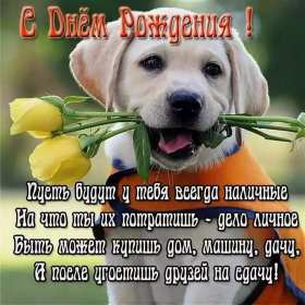 с днём рождения прикольные Открытка с днём рождения прикольная, поздравления с днём рождения Открытка открытки картинка картинки с днём рождения прикольные, смешные, поздравления прикольные с днём рождения, на день рождения открытки скачать бесплатно .