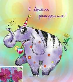 с днём рождения прикольные Открытка с днём рождения прикольная, поздравления с днём рождения Открытка открытки картинка картинки с днём рождения прикольные, смешные, поздравления прикольные с днём рождения, на день рождения открытки скачать бесплатно .