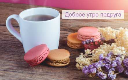 Открытки доброе утро подруга Открытка с пожеланиями доброго утра подруге, подруга доброе утро Открытка доброе утро подруга, картинка доброе утро подруга, открытки картинки с добрым утром подруге, пожелания доброго утра подружка, подруга скачать бесплатно