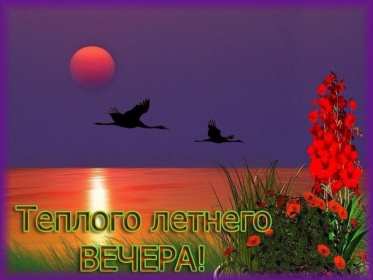 Добрый летний вечер Открытка добрый летний вечер, пожелания доброго летнего вечера Открытка картинка с пожеланиями доброго летнего вечера, добрый вечер летний, доброго летнего вечера, открытки картинки с добрым летним вечером скачать бесплатно