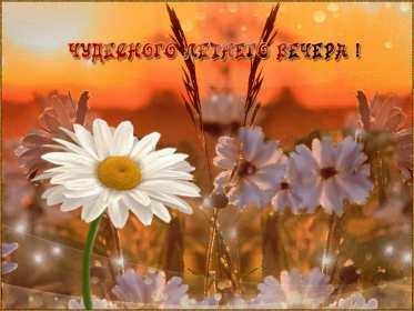 Добрый летний вечер Открытка добрый летний вечер, пожелания доброго летнего вечера Открытка картинка с пожеланиями доброго летнего вечера, добрый вечер летний, доброго летнего вечера, открытки картинки с добрым летним вечером скачать бесплатно