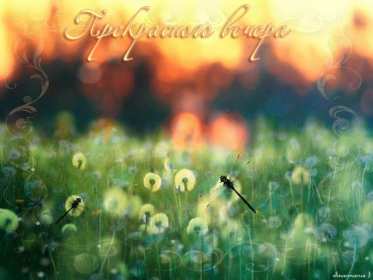 Добрый летний вечер Открытка добрый летний вечер, пожелания доброго летнего вечера Открытка картинка с пожеланиями доброго летнего вечера, добрый вечер летний, доброго летнего вечера, открытки картинки с добрым летним вечером скачать бесплатно