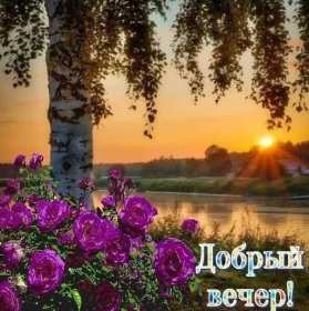 Добрый летний вечер Открытка добрый летний вечер, пожелания доброго летнего вечера Открытка картинка с пожеланиями доброго летнего вечера, добрый вечер летний, доброго летнего вечера, открытки картинки с добрым летним вечером скачать бесплатно