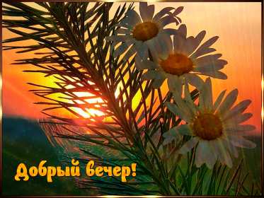 Добрый летний вечер Открытка добрый летний вечер, пожелания доброго летнего вечера Открытка картинка с пожеланиями доброго летнего вечера, добрый вечер летний, доброго летнего вечера, открытки картинки с добрым летним вечером скачать бесплатно