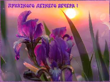 Добрый летний вечер Открытка добрый летний вечер, пожелания доброго летнего вечера Открытка картинка с пожеланиями доброго летнего вечера, добрый вечер летний, доброго летнего вечера, открытки картинки с добрым летним вечером скачать бесплатно