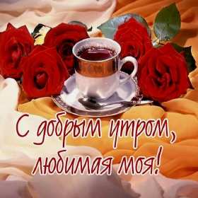 Открытки с добрым утром любимая Открытка красивая для любимой с пожеланиями доброго утра, доброе утро Открытка любимая доброе утро, картинка любимой с добрым утром, открытки картинки пожелания доброго утра любимой, с добрым утром любимая открытка скачать бесплатно